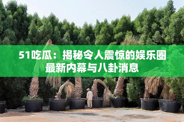 51吃瓜：揭秘令人震惊的娱乐圈最新内幕与八卦消息