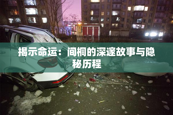 揭示命运：间桐的深邃故事与隐秘历程