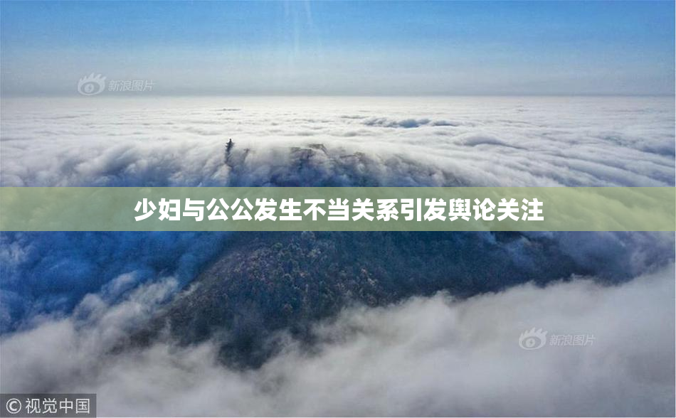 少妇与公公发生不当关系引发舆论关注