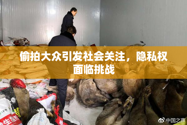偷拍大众引发社会关注，隐私权面临挑战