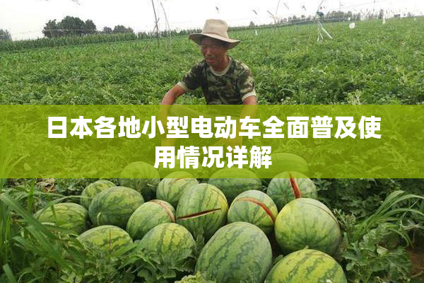 日本各地小型电动车全面普及使用情况详解