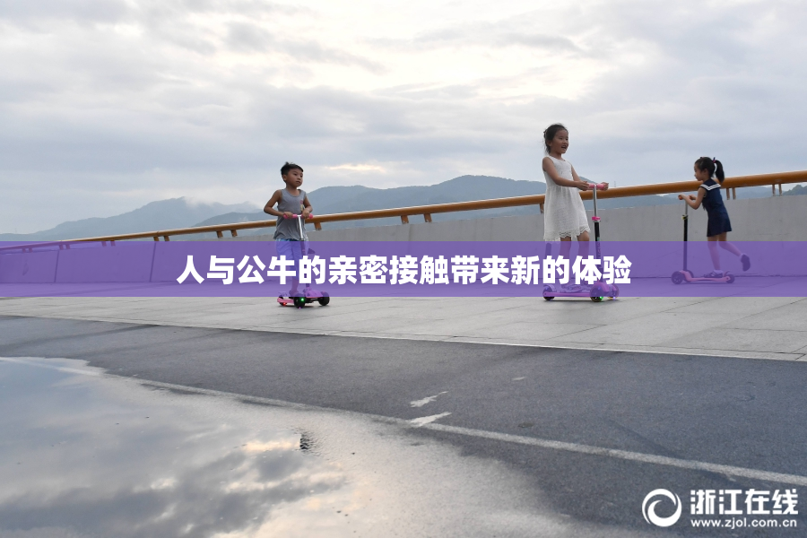 人与公牛的亲密接触带来新的体验