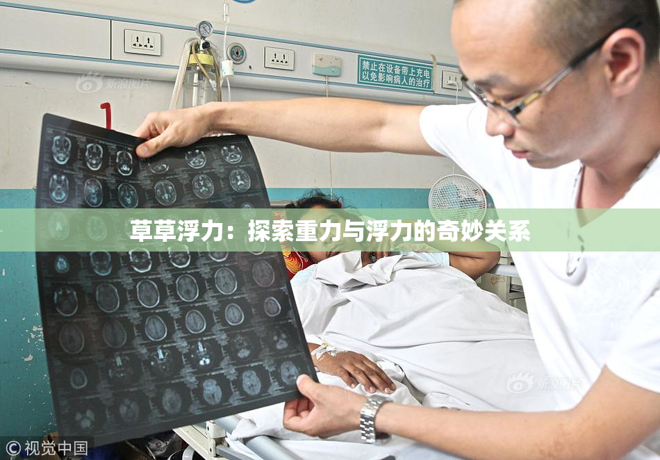草草浮力：探索重力与浮力的奇妙关系