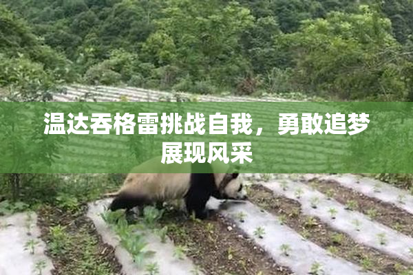 温达吞格雷挑战自我，勇敢追梦展现风采