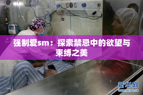 强制爱sm：探索禁忌中的欲望与束缚之美