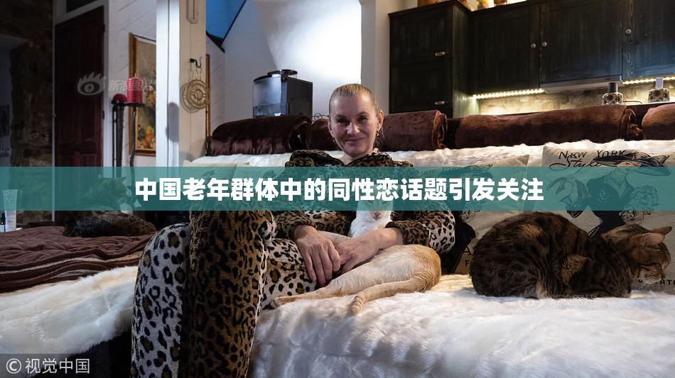 中国老年群体中的同性恋话题引发关注