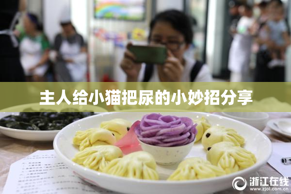 主人给小猫把尿的小妙招分享