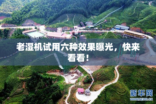 老湿机试用六种效果曝光，快来看看！