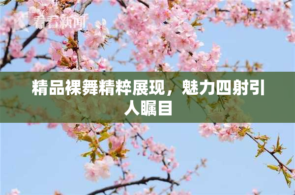 精品裸舞精粹展现，魅力四射引人瞩目