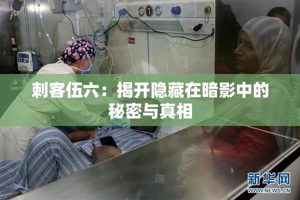 刺客伍六：揭开隐藏在暗影中的秘密与真相