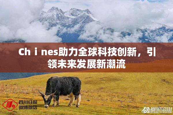Chⅰnes助力全球科技创新，引领未来发展新潮流