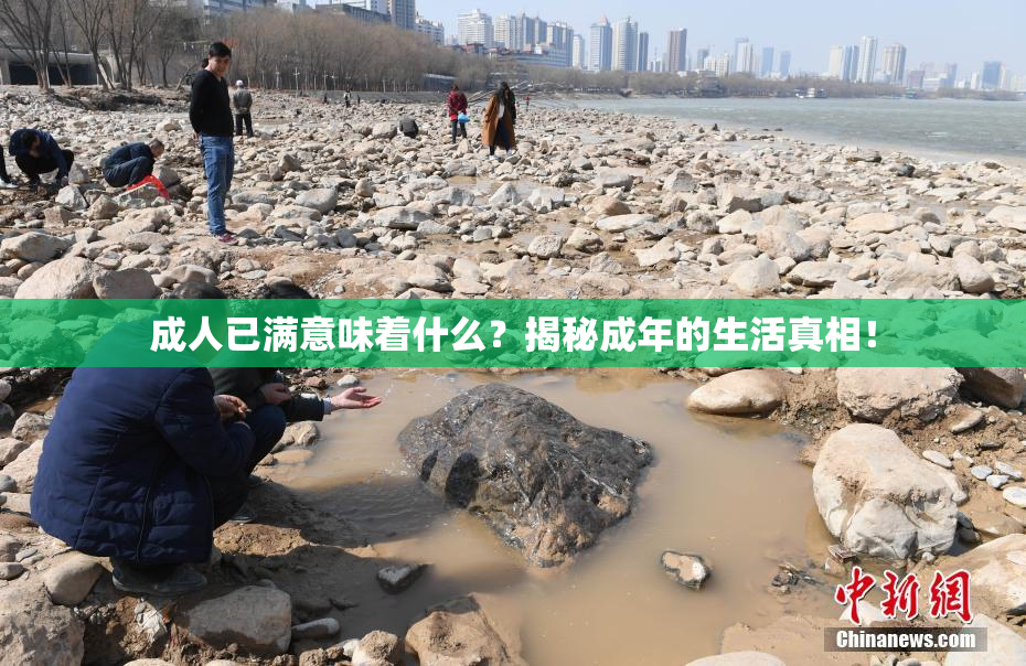 成人已满意味着什么？揭秘成年的生活真相！