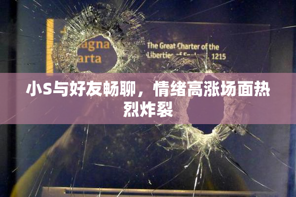 小S与好友畅聊，情绪高涨场面热烈炸裂