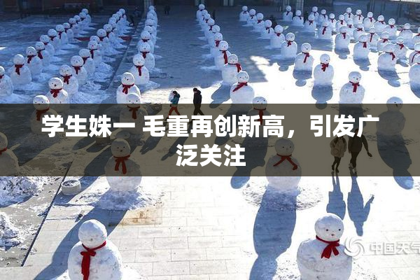 学生姝一 毛重再创新高，引发广泛关注