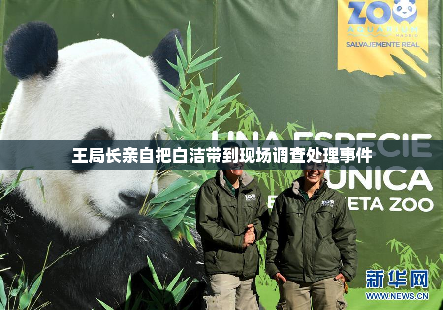 王局长亲自把白洁带到现场调查处理事件