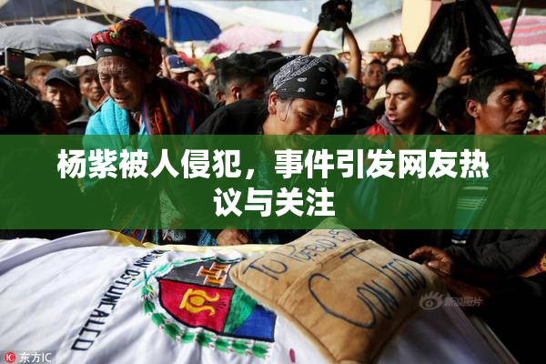 杨紫被人侵犯，事件引发网友热议与关注