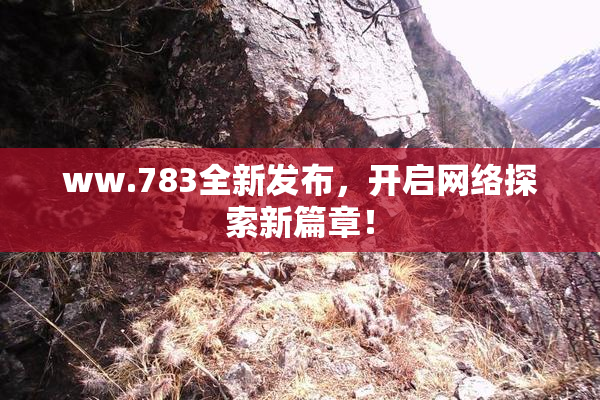 ww.783全新发布，开启网络探索新篇章！
