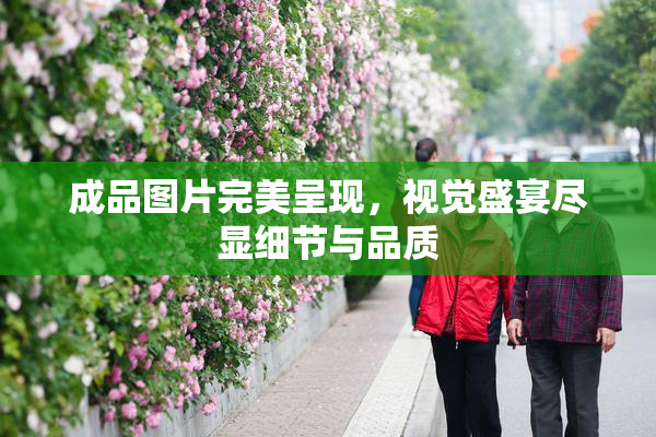 成品图片完美呈现，视觉盛宴尽显细节与品质