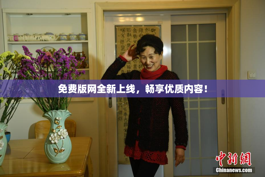免费版网全新上线，畅享优质内容！