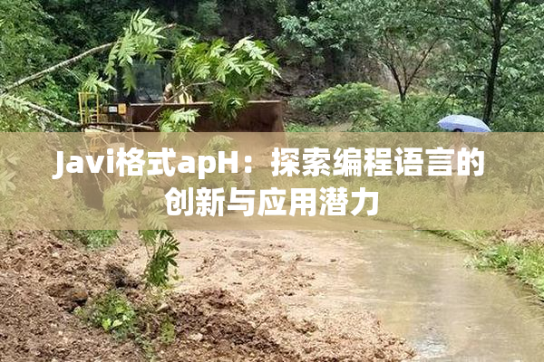 Javi格式apH：探索编程语言的创新与应用潜力