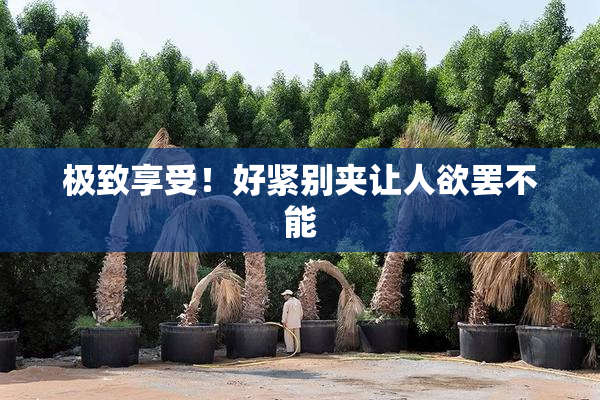 极致享受！好紧别夹让人欲罢不能