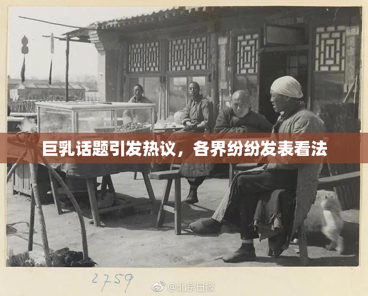 巨乳话题引发热议，各界纷纷发表看法