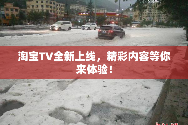 淘宝TV全新上线，精彩内容等你来体验！