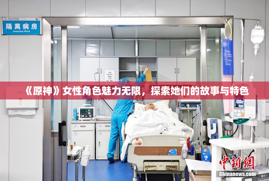 《原神》女性角色魅力无限，探索她们的故事与特色