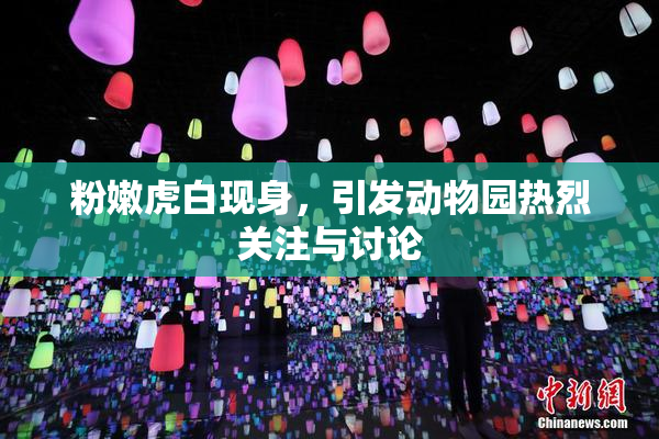 粉嫩虎白现身，引发动物园热烈关注与讨论