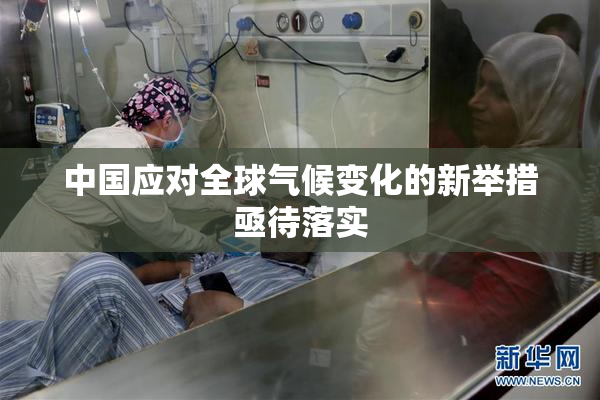 中国应对全球气候变化的新举措亟待落实