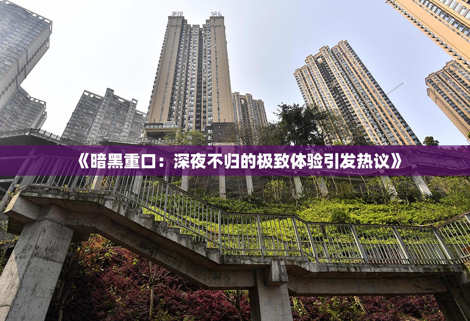 《暗黑重口：深夜不归的极致体验引发热议》