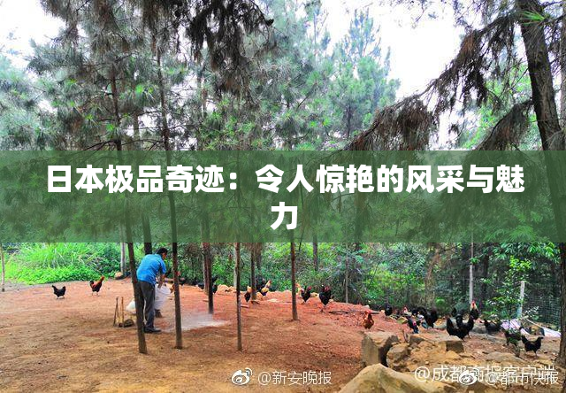 日本极品奇迹：令人惊艳的风采与魅力