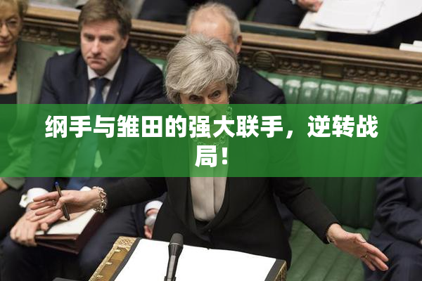 纲手与雏田的强大联手，逆转战局！