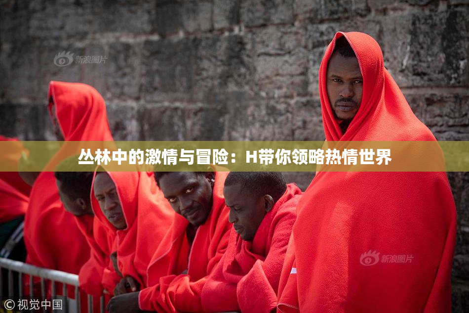丛林中的激情与冒险：H带你领略热情世界