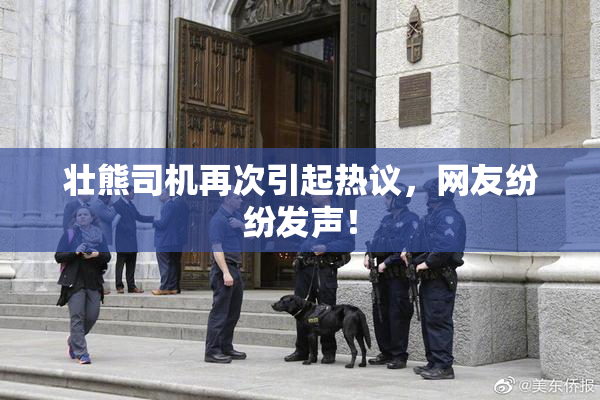 壮熊司机再次引起热议，网友纷纷发声！
