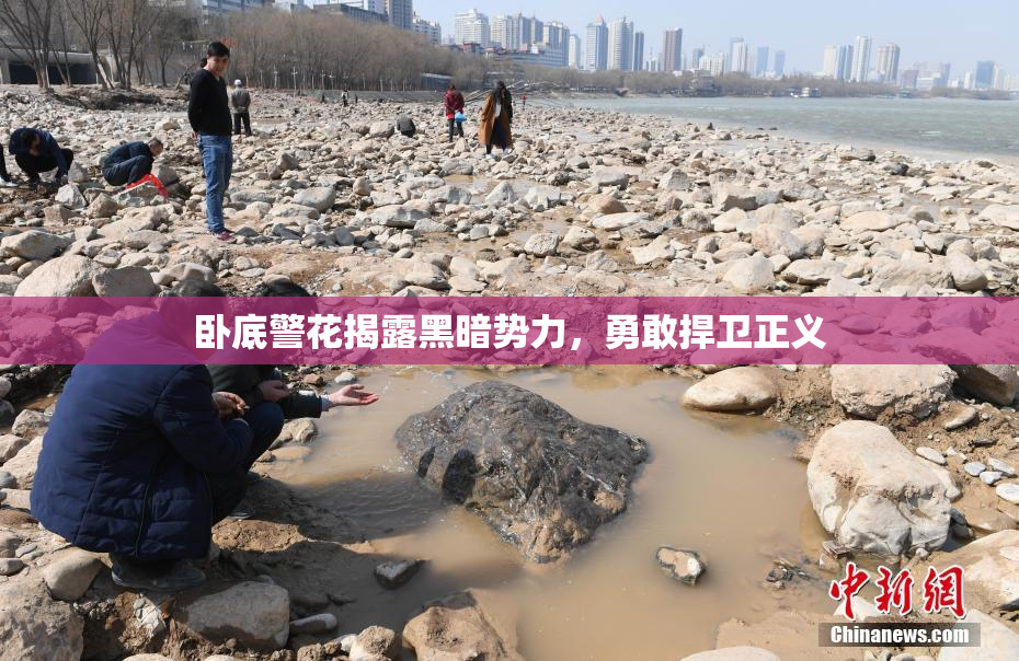 卧底警花揭露黑暗势力，勇敢捍卫正义
