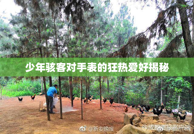 少年骇客对手表的狂热爱好揭秘