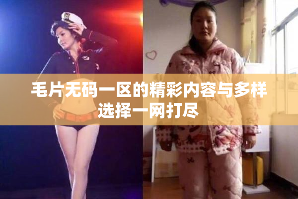 毛片无码一区的精彩内容与多样选择一网打尽
