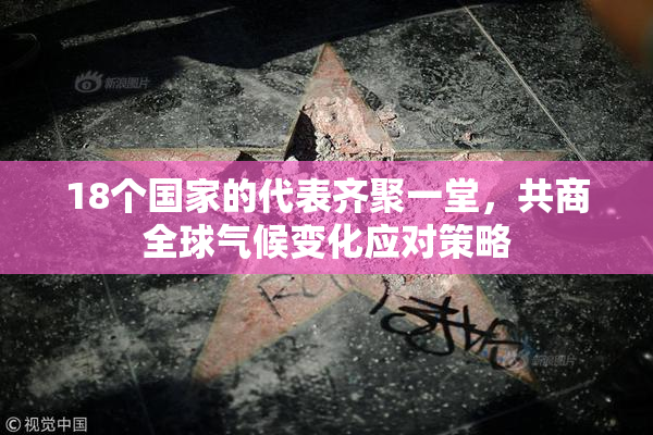18个国家的代表齐聚一堂，共商全球气候变化应对策略