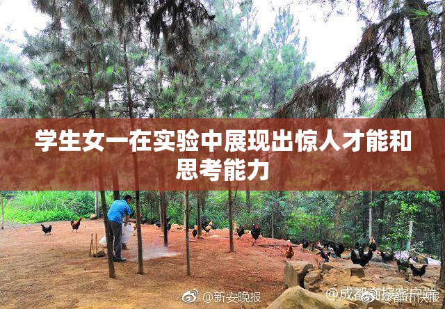 学生女一在实验中展现出惊人才能和思考能力