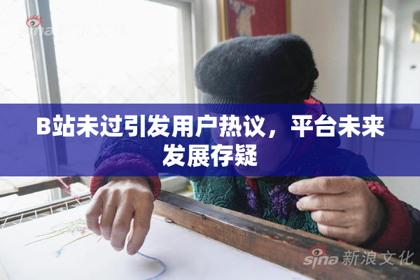 B站未过引发用户热议，平台未来发展存疑