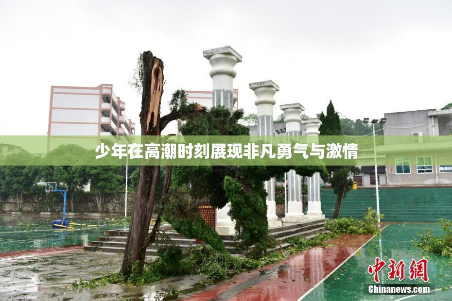 少年在高潮时刻展现非凡勇气与激情