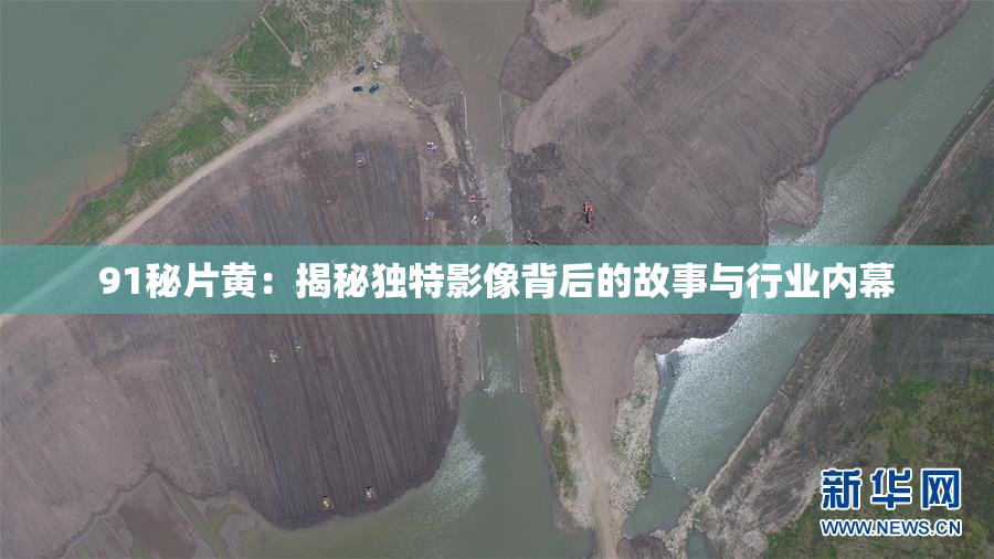 91秘片黄：揭秘独特影像背后的故事与行业内幕