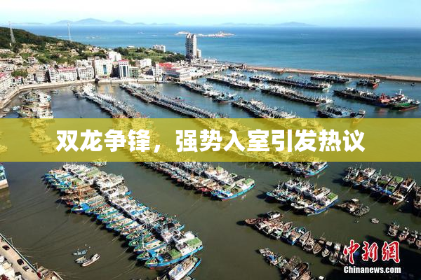 双龙争锋，强势入室引发热议
