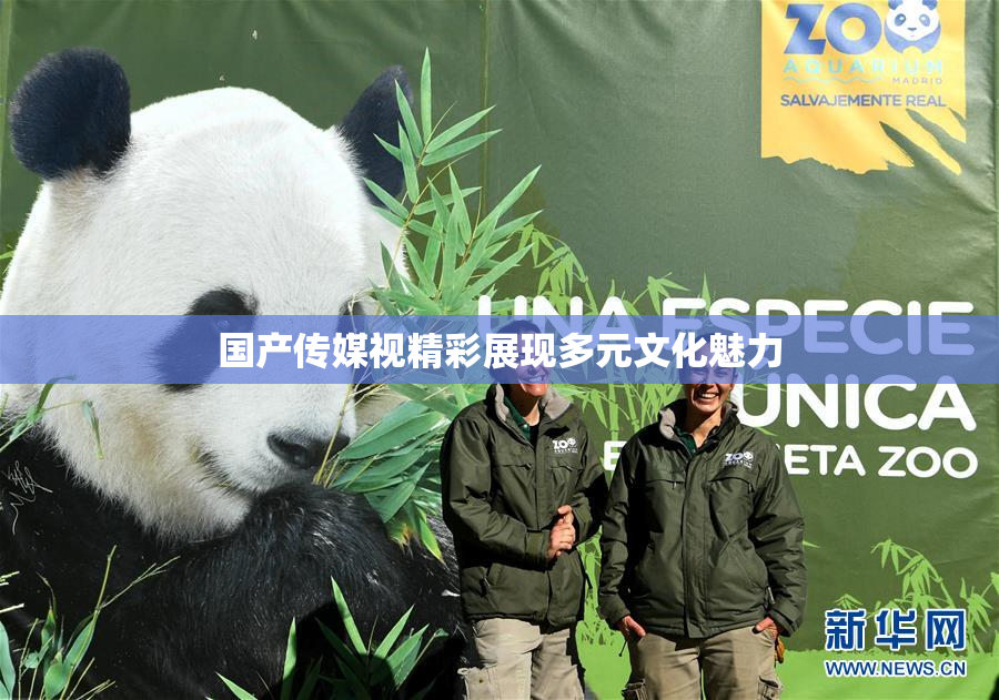 国产传媒视精彩展现多元文化魅力