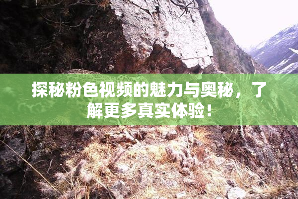 探秘粉色视频的魅力与奥秘，了解更多真实体验！