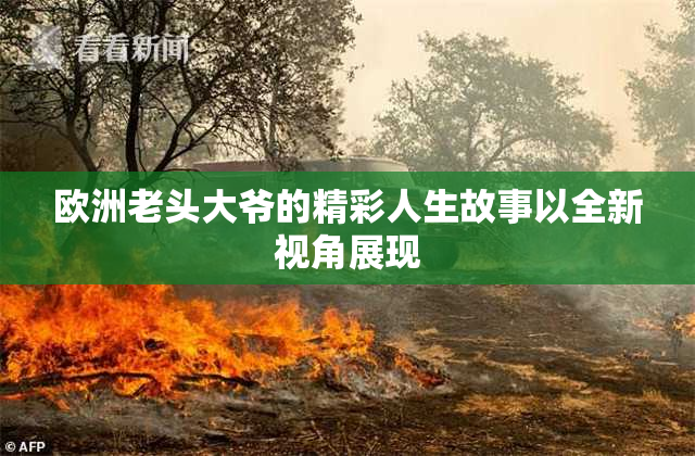 欧洲老头大爷的精彩人生故事以全新视角展现