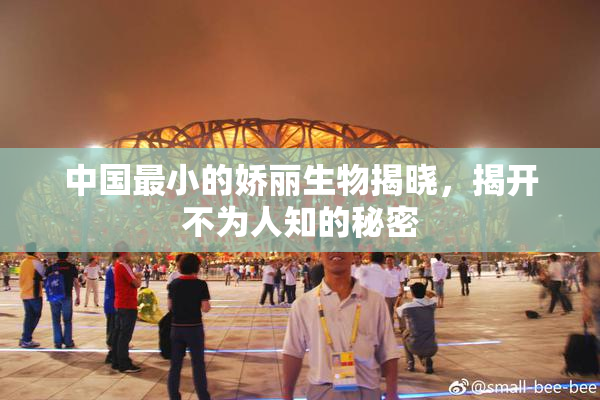 中国最小的娇丽生物揭晓，揭开不为人知的秘密