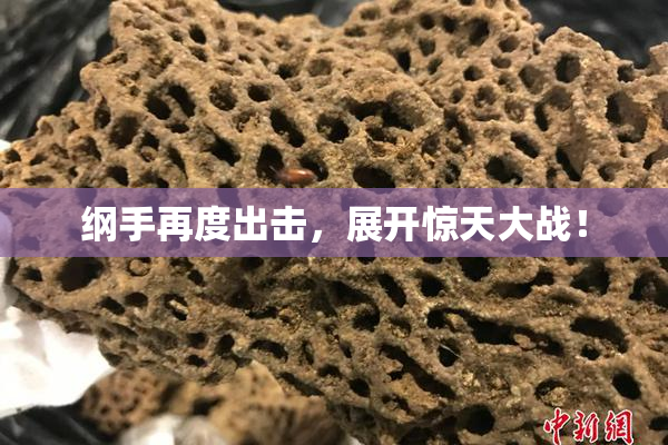 纲手再度出击，展开惊天大战！