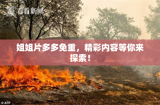 姐姐片多多免重，精彩内容等你来探索！